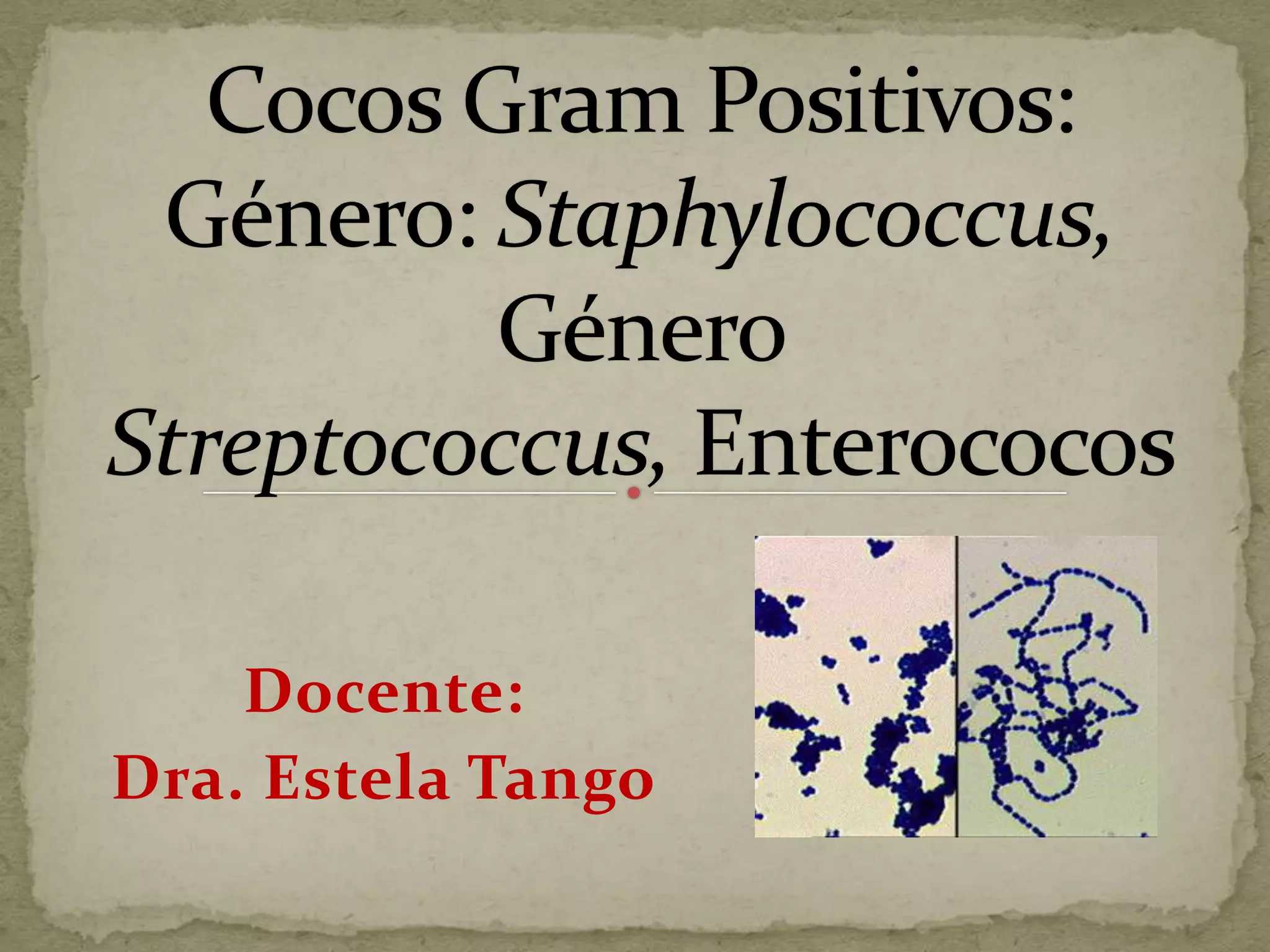 Docente:
Dra. Estela Tango
 