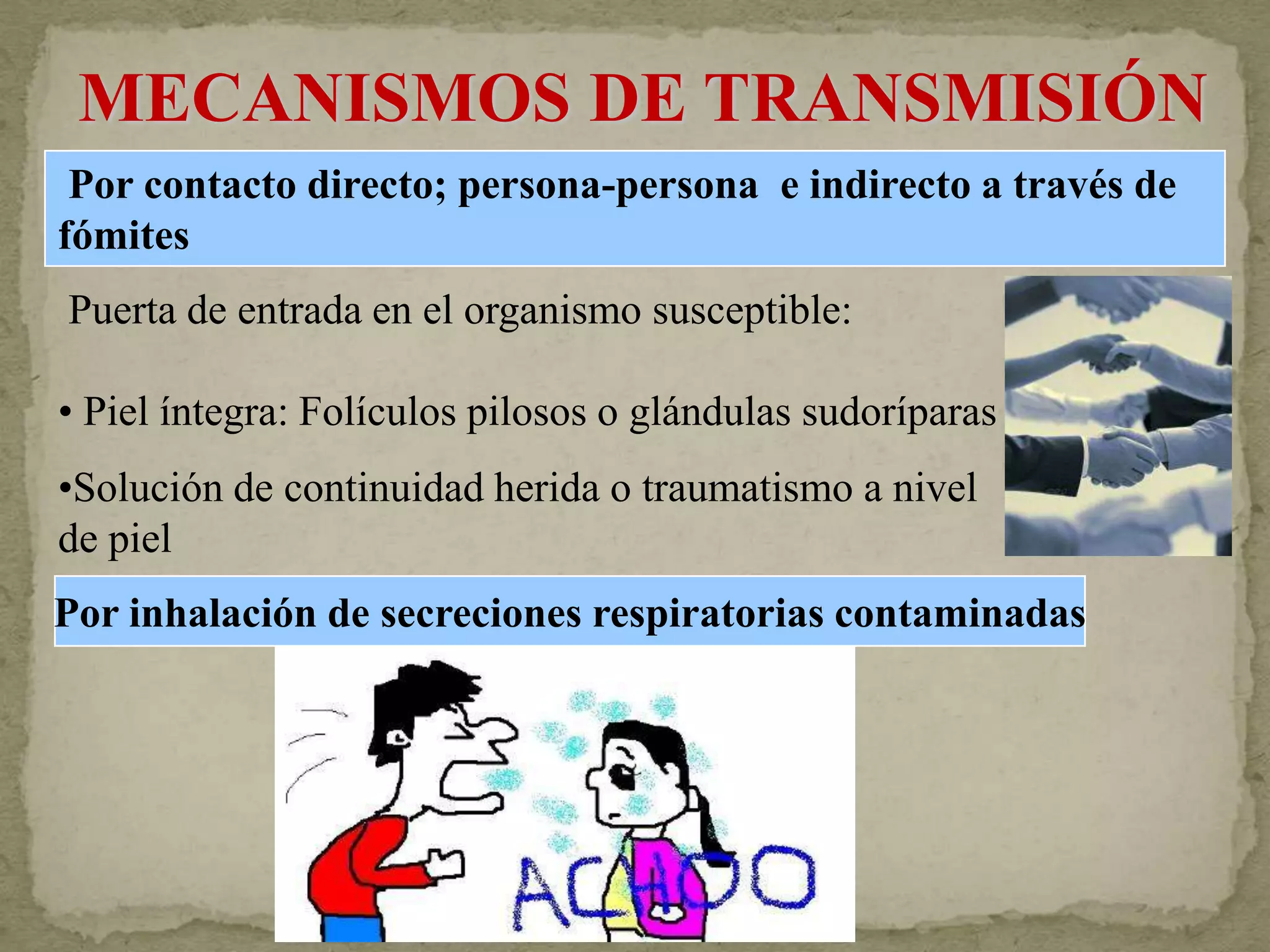MECANISMOS DE TRANSMISIÓN
 Por contacto directo; persona-persona e indirecto a través de
fómites
Puerta de entrada en el organismo susceptible:

• Piel íntegra: Folículos pilosos o glándulas sudoríparas
•Solución de continuidad herida o traumatismo a nivel
de piel
Por inhalación de secreciones respiratorias contaminadas
 
