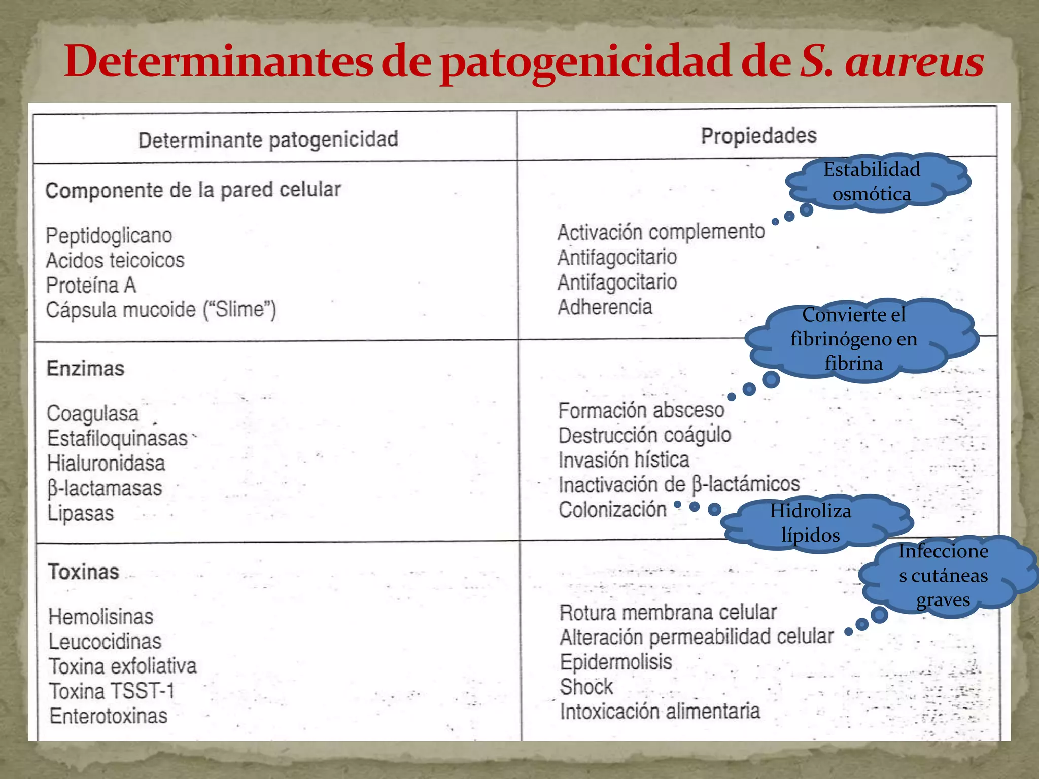 Estabilidad
      osmótica




    Convierte el
  fibrinógeno en
      fibrina




Hidroliza
 lípidos
             Infeccione
             s cutáneas
                graves
 