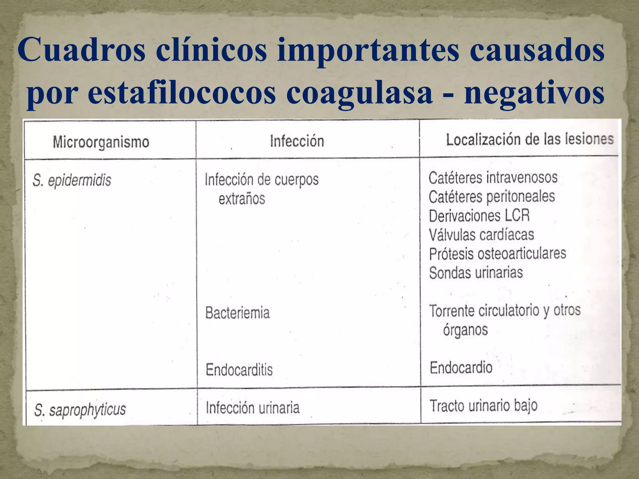 Cuadros clínicos importantes causados
por estafilococos coagulasa - negativos
 