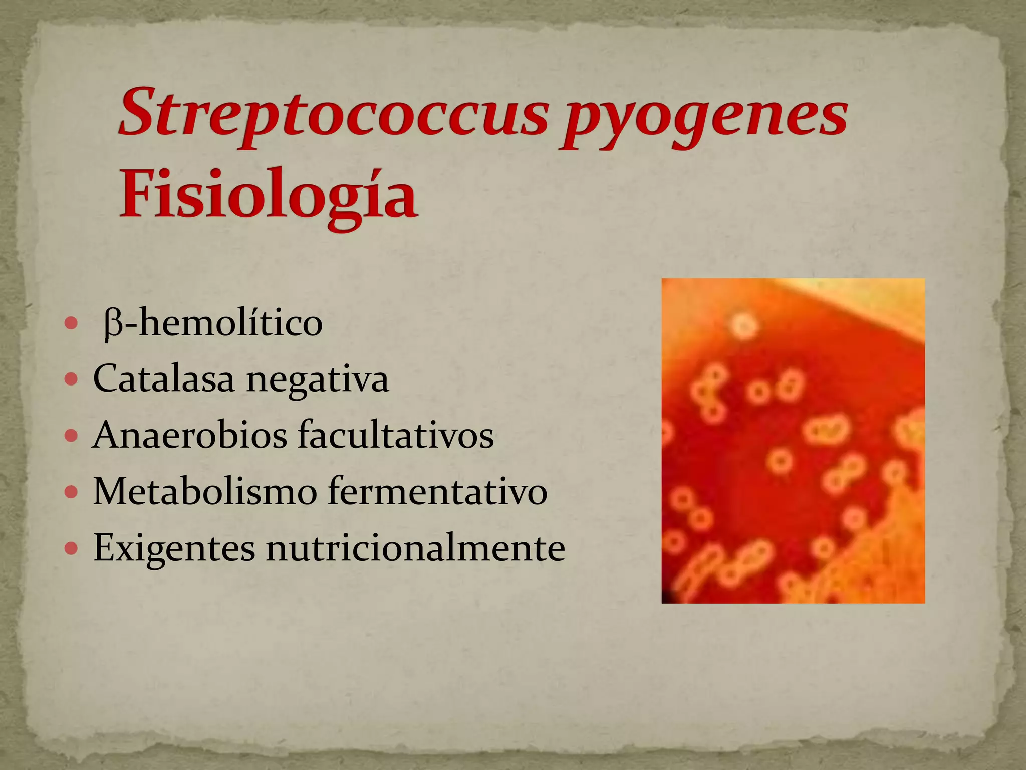   -hemolítico
 Catalasa negativa
 Anaerobios facultativos
 Metabolismo fermentativo
 Exigentes nutricionalmente
 