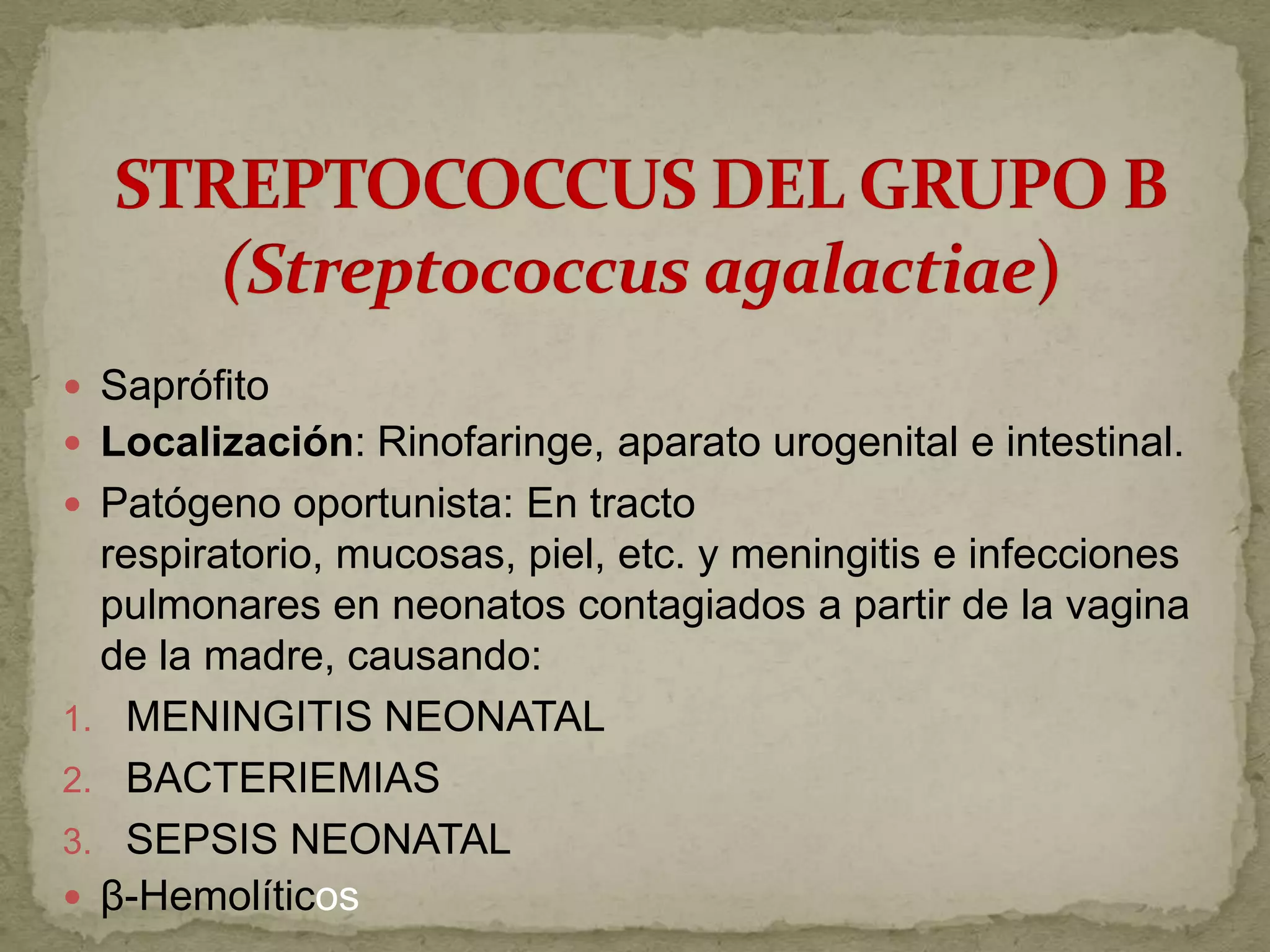  Saprófito
 Localización: Rinofaringe, aparato urogenital e intestinal.
 Patógeno oportunista: En tracto
  respiratorio, mucosas, piel, etc. y meningitis e infecciones
  pulmonares en neonatos contagiados a partir de la vagina
  de la madre, causando:
1. MENINGITIS NEONATAL
2. BACTERIEMIAS
3. SEPSIS NEONATAL
 β-Hemolíticos
 