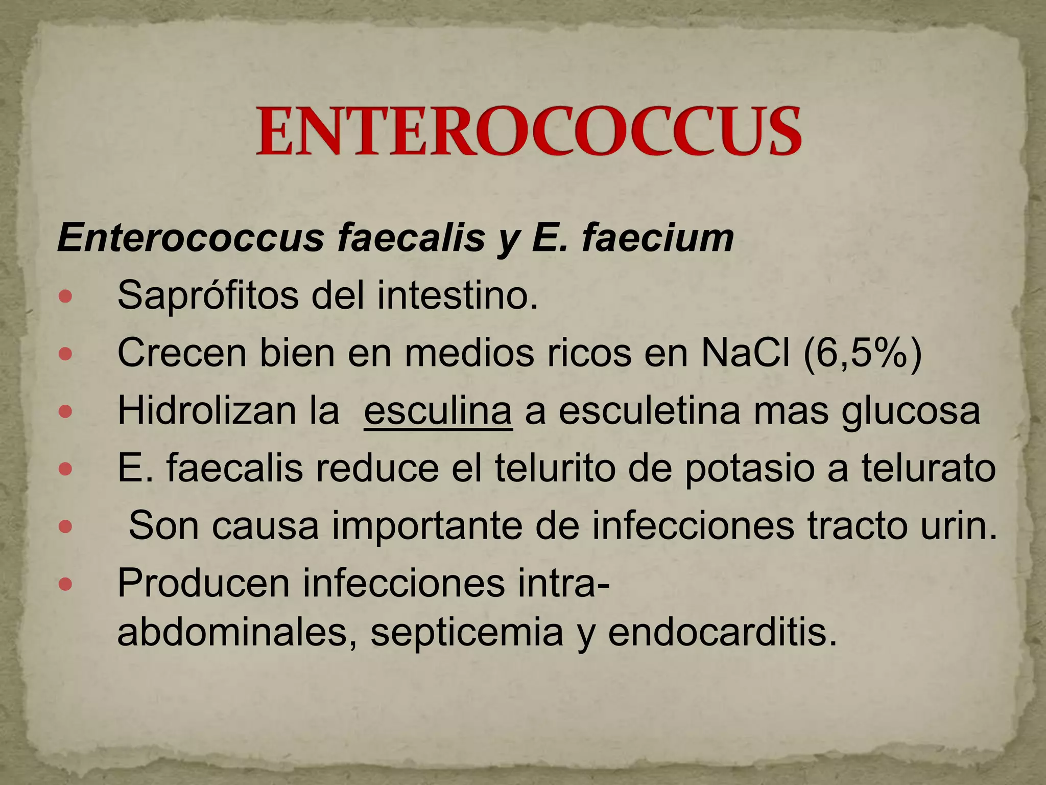 Enterococcus faecalis y E. faecium
 Saprófitos del intestino.
 Crecen bien en medios ricos en NaCl (6,5%)
 Hidrolizan la esculina a esculetina mas glucosa
 E. faecalis reduce el telurito de potasio a telurato
  Son causa importante de infecciones tracto urin.
 Producen infecciones intra-
   abdominales, septicemia y endocarditis.
 