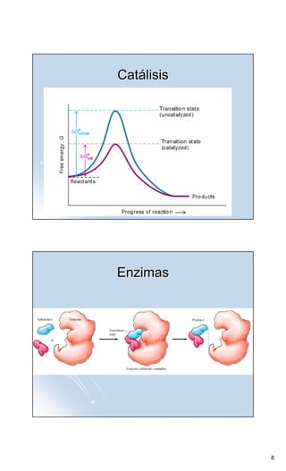 Catálisis




Enzimas




            8
 