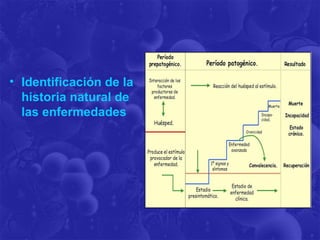 • Identificación de la
historia natural de
las enfermedades
 