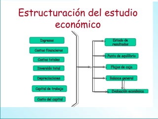 Estructuración del estudio económico 