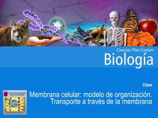Clase
Membrana celular: modelo de organización.
Transporte a través de la membrana
 