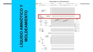 LÍQUIDO
AMNIÓTICO
Y
MOLDEAMIENTO
 