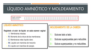 LÍQUIDO AMNIÓTICO Y MOLDEAMIENTO
 
