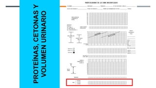 PROTEÍNAS,
CETONAS
Y
VOLUMEN
URINARIO
 