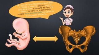 CLASE_8_PARTOGRAMA_DR_ALCANTARA.pptx