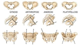 CLASE_8_PARTOGRAMA_DR_ALCANTARA.pptx