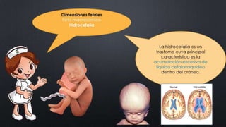 CLASE_8_PARTOGRAMA_DR_ALCANTARA.pptx