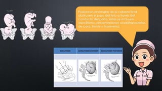 CLASE_8_PARTOGRAMA_DR_ALCANTARA.pptx