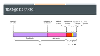 TRABAJO DE PARTO
.
dilatación
completa
expulsión del
producto
expulsión de la
placenta
útero
contraído
trabajo de
parto activo
aceleración de
la dilatación
fase latente fase activa
1a 2a 3a 4a
 