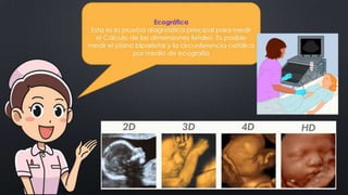 CLASE_8_PARTOGRAMA_DR_ALCANTARA.pptx