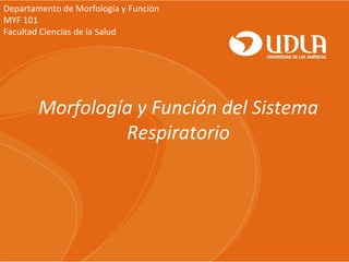 Departamento de Morfología y Función
MYF 101
Facultad Ciencias de la Salud

Morfología y Función del Sistema
Respiratorio

 