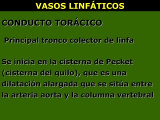 Principal tronco colector de linfaPrincipal tronco colector de linfa
VASOS LINFÁTICOSVASOS LINFÁTICOS
CONDUCTO TORÁCICOCONDUCTO TORÁCICO
Se inicia en la cisterna de PecketSe inicia en la cisterna de Pecket
(cisterna del quilo), que es una(cisterna del quilo), que es una
dilatación alargada que se sitúa entredilatación alargada que se sitúa entre
la arteria aorta y la columna vertebralla arteria aorta y la columna vertebral
 