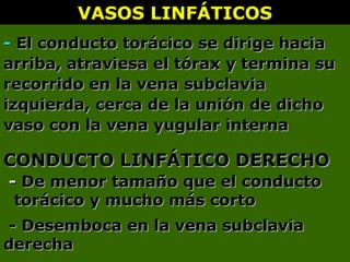 -- El conducto torácico seEl conducto torácico se dirige haciadirige hacia
arriba, atraviesa el tórax y termina suarriba, atraviesa el tórax y termina su
recorrido en la vena subclaviarecorrido en la vena subclavia
izquierda, cerca de la unión de dichoizquierda, cerca de la unión de dicho
vaso con la vena yugular internavaso con la vena yugular interna
VASOS LINFÁTICOSVASOS LINFÁTICOS
CONDUCTO LINFÁTICO DERECHOCONDUCTO LINFÁTICO DERECHO
-- De menor tamaño que el conductoDe menor tamaño que el conducto
torácico y mucho más cortotorácico y mucho más corto
- Desemboca en la vena subclavia- Desemboca en la vena subclavia
derechaderecha
 