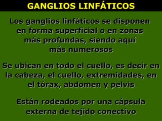 GANGLIOS LINFÁTICOSGANGLIOS LINFÁTICOS
Los ganglios linfáticos se disponenLos ganglios linfáticos se disponen
en forma superficial o en zonasen forma superficial o en zonas
más profundas, siendo aquímás profundas, siendo aquí
más numerososmás numerosos
Se ubican en todo el cuello, es decir enSe ubican en todo el cuello, es decir en
la cabeza, el cuello, extremidades, enla cabeza, el cuello, extremidades, en
el tórax, abdomen y pelvisel tórax, abdomen y pelvis
Están rodeados por una cápsulaEstán rodeados por una cápsula
externa de tejido conectivoexterna de tejido conectivo
 