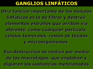 GANGLIOS LINFÁTICOSGANGLIOS LINFÁTICOS
Otra función importante de los nódulosOtra función importante de los nódulos
linfáticos es la de filtrar y destruirlinfáticos es la de filtrar y destruir
elementos extraños que arriban víaelementos extraños que arriban vía
aferente, como cualquier partícula,aferente, como cualquier partícula,
células tumorales, restos de tejidoscélulas tumorales, restos de tejidos
y microorganismosy microorganismos
Esa destrucción se realiza por medioEsa destrucción se realiza por medio
de los macrófagos, que engloban yde los macrófagos, que engloban y
digieren las sustancias mencionadasdigieren las sustancias mencionadas
 