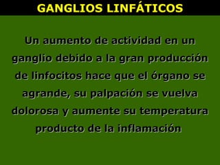 GANGLIOS LINFÁTICOSGANGLIOS LINFÁTICOS
Un aumento de actividad en unUn aumento de actividad en un
ganglio debido a la gran producciónganglio debido a la gran producción
de linfocitos hace que el órgano sede linfocitos hace que el órgano se
agrande, su palpación se vuelvaagrande, su palpación se vuelva
dolorosa y aumente su temperaturadolorosa y aumente su temperatura
producto de la inflamaciónproducto de la inflamación
 