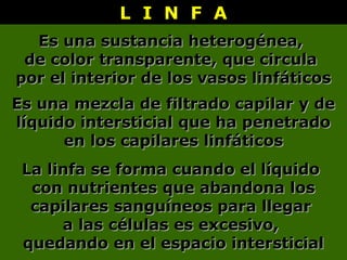 Es una sustancia heterogénea,Es una sustancia heterogénea,
de color transparente, que circulade color transparente, que circula
por el interior de los vasos linfáticospor el interior de los vasos linfáticos
L I N F AL I N F A
Es una mezcla de filtrado capilar y deEs una mezcla de filtrado capilar y de
líquido intersticial que ha penetradolíquido intersticial que ha penetrado
en los capilares linfáticosen los capilares linfáticos
La linfa se forma cuando el líquidoLa linfa se forma cuando el líquido
con nutrientes que abandona loscon nutrientes que abandona los
capilares sanguíneos para llegarcapilares sanguíneos para llegar
a las células es excesivo,a las células es excesivo,
quedando en el espacio intersticialquedando en el espacio intersticial
 