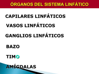 ÓRGANOS DEL SISTEMA LINFÁTICOÓRGANOS DEL SISTEMA LINFÁTICO
CAPILARES LINFÁTICOSCAPILARES LINFÁTICOS
VASOS LINFÁTICOSVASOS LINFÁTICOS
GANGLIOS LINFÁTICOSGANGLIOS LINFÁTICOS
BAZOBAZO
TIMTIMOO
AMÍGDALASAMÍGDALAS
 