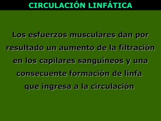 LLos esfuerzos musculares dan poros esfuerzos musculares dan por
resultado un aumento de la filtraciónresultado un aumento de la filtración
en los capilares sanguíneos y unaen los capilares sanguíneos y una
consecuente formación de linfaconsecuente formación de linfa
que ingresa a la circulaciónque ingresa a la circulación
CIRCULACIÓN LINFÁTICACIRCULACIÓN LINFÁTICA
 