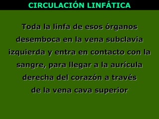 Toda la linfa de esos órganosToda la linfa de esos órganos
desemboca en la vena subclaviadesemboca en la vena subclavia
izquierda y entra en contacto con laizquierda y entra en contacto con la
sangre, para llegar a la aurículasangre, para llegar a la aurícula
derecha del corazón a travésderecha del corazón a través
de la vena cava superiorde la vena cava superior
CIRCULACIÓN LINFÁTICACIRCULACIÓN LINFÁTICA
 