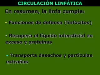 En resumen, la linfa cumpleEn resumen, la linfa cumple::
CIRCULACIÓN LINFÁTICACIRCULACIÓN LINFÁTICA
-- Funciones de defensa (linfocitos)Funciones de defensa (linfocitos)
-- Recupera el líquido intersticial enRecupera el líquido intersticial en
exceso y proteínasexceso y proteínas
-- Transporta desechos y partículasTransporta desechos y partículas
extrañasextrañas
 