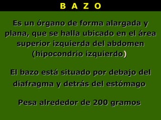 B A Z OB A Z O
Es un órgano de forma alargada yEs un órgano de forma alargada y
plana, que se halla ubicado en el áreaplana, que se halla ubicado en el área
superior izquierda del abdomensuperior izquierda del abdomen
(hipocondrio izquierdo(hipocondrio izquierdo))
El bazo está situado por debajo delEl bazo está situado por debajo del
diafragma y detrás del estómagodiafragma y detrás del estómago
Pesa alrededor de 200 gramosPesa alrededor de 200 gramos
 