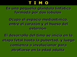 T I M OT I M O
Es una pequeña glándula linfáticaEs una pequeña glándula linfática
formada por dos lóbulosformada por dos lóbulos
Ocupa el espacio mediastínico,Ocupa el espacio mediastínico,
entre el corazón y el hueso delentre el corazón y el hueso del
esternónesternón
El desarrollo del timo se inicia en laEl desarrollo del timo se inicia en la
etapa fetal hasta la pubertad, y luegoetapa fetal hasta la pubertad, y luego
comienza a involucionar paracomienza a involucionar para
atrofiarse en la edad adultaatrofiarse en la edad adulta
 
