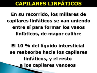 En su recorrido, los millares deEn su recorrido, los millares de
capilares linfáticos se van uniendocapilares linfáticos se van uniendo
entre sí para formar los vasosentre sí para formar los vasos
linfáticos, de mayor calibrelinfáticos, de mayor calibre
El 10 % del líquido intersticialEl 10 % del líquido intersticial
se reabsorbe hacia los capilaresse reabsorbe hacia los capilares
linfáticos, y el restolinfáticos, y el resto
a los capilares venososa los capilares venosos
CAPILARES LINFÁTICOSCAPILARES LINFÁTICOS
 