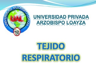 UNIVERSIDAD PRIVADA
ARZOBISPO LOAYZA
 