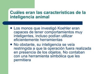 Cuáles eran las características de la inteligencia animal Los monos que investigó Koehler eran capaces de tener comportamientos muy inteligentes, incluso podían utilizar eficientemente herramientas No obstante, su inteligencia se veía restringida a que la operación fuera realizada en presencia de los objetos. No contaban con una herramienta simbólica que les permitiera  