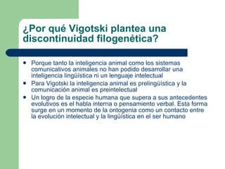 ¿Por qué Vigotski plantea una discontinuidad filogenética? Porque tanto la inteligencia animal como los sistemas comunicativos animales no han podido desarrollar una inteligencia lingüística ni un lenguaje intelectual Para Vigotski la inteligencia animal es prelingüística y la comunicación animal es preintelectual Un logro de la especie humana que supera a sus antecedentes evolutivos es el habla interna o pensamiento verbal. Esta forma surge en un momento de la ontogenia como un contacto entre la evolución intelectual y la lingüística en el ser humano  
