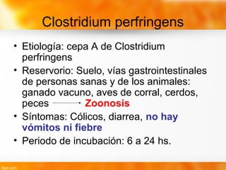 Clostridium perfringens
• Etiología: cepa A de Clostridium
perfringens
• Reservorio: Suelo, vías gastrointestinales
de personas sanas y de los animales:
ganado vacuno, aves de corral, cerdos,
peces Zoonosis
• Síntomas: Cólicos, diarrea, no hay
vómitos ni fiebre
• Periodo de incubación: 6 a 24 hs.
 