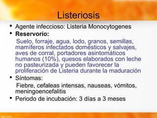 Listeriosis
 Agente infeccioso: Listeria Monocytogenes
 Reservorio:
Suelo, forraje, agua, lodo, granos, semillas,
mamíferos infectados domésticos y salvajes,
aves de corral, portadores asintomáticos
humanos (10%), quesos elaborados con leche
no pasteurizada y pueden favorecer la
proliferación de Listeria durante la maduración
 Síntomas:
Fiebre, cefaleas intensas, nauseas, vómitos,
meningoencefalitis
 Periodo de incubación: 3 días a 3 meses
 