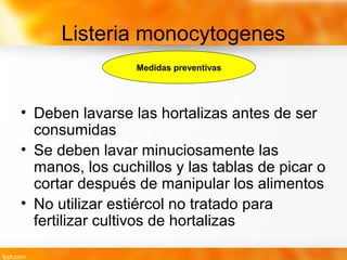 Listeria monocytogenes
• Deben lavarse las hortalizas antes de ser
consumidas
• Se deben lavar minuciosamente las
manos, los cuchillos y las tablas de picar o
cortar después de manipular los alimentos
• No utilizar estiércol no tratado para
fertilizar cultivos de hortalizas
Medidas preventivas
 