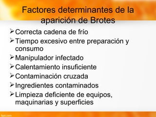 Factores determinantes de la
aparición de Brotes
Correcta cadena de frío
Tiempo excesivo entre preparación y
consumo
Manipulador infectado
Calentamiento insuficiente
Contaminación cruzada
Ingredientes contaminados
Limpieza deficiente de equipos,
maquinarias y superficies
 