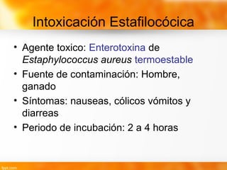 Intoxicación Estafilocócica
• Agente toxico: Enterotoxina de
Estaphylococcus aureus termoestable
• Fuente de contaminación: Hombre,
ganado
• Síntomas: nauseas, cólicos vómitos y
diarreas
• Periodo de incubación: 2 a 4 horas
 