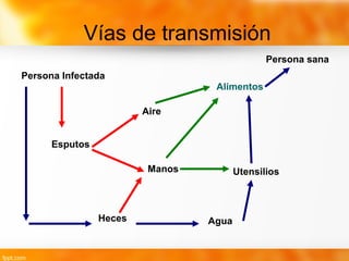 Vías de transmisión
Persona Infectada
Heces Agua
Esputos
Aire
Manos
Alimentos
Utensilios
Persona sana
 