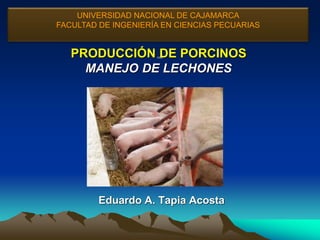 PRODUCCIÓN DE PORCINOS
MANEJO DE LECHONES
1253
1253
1253
Eduardo A. Tapia Acosta
UNIVERSIDAD NACIONAL DE CAJAMARCA
FACULTAD DE INGENIERÍA EN CIENCIAS PECUARIAS
 