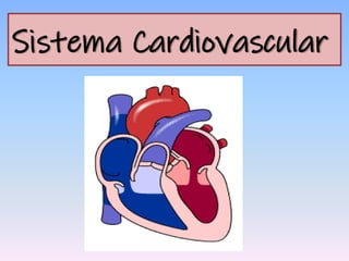 Sistema Cardiovascular
 
