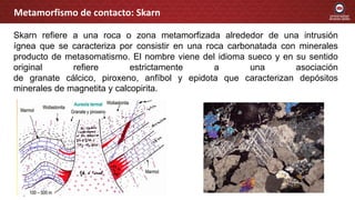 Skarn refiere a una roca o zona metamorfizada alrededor de una intrusión
ígnea que se caracteriza por consistir en una roca carbonatada con minerales
producto de metasomatismo. El nombre viene del idioma sueco y en su sentido
original refiere estrictamente a una asociación
de granate cálcico, piroxeno, anfíbol y epidota que caracterizan depósitos
minerales de magnetita y calcopirita.
Metamorfismo de contacto: Skarn
 