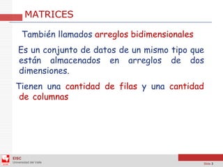 Arreglos Bidimensionales - Java - NetBeans | PDF