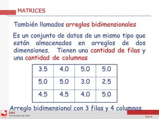 Arreglos Bidimensionales - Java - NetBeans | PDF