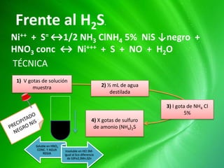 Frente al H2S.
Ni++ + S= ↔1/2 NH3 ClNH4 5% NiS ↓negro +
HNO3 conc ↔ Ni+++ + S + NO + H2O
1) V gotas de solución
muestra 2) ½ mL de agua
destilada
3) I gota de NH4 Cl
5%
4) X gotas de sulfuro
de amonio (NH4)2S
TÉCNICA
Soluble en HNO3
CONC. Y AGUA
REGIA
Insoluble en HCl 3M-
igual al Sco diferencia
de S3Fe2,SMn,SZn
 
