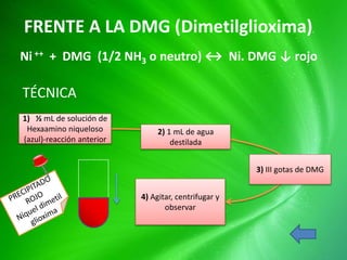 FRENTE A LA DMG (Dimetilglioxima).
Ni ++ + DMG (1/2 NH3 o neutro) ↔ Ni. DMG ↓ rojo
1) ½ mL de solución de
Hexaamino niqueloso
(azul)-reacción anterior
2) 1 mL de agua
destilada
3) III gotas de DMG
4) Agitar, centrifugar y
observar
TÉCNICA
 